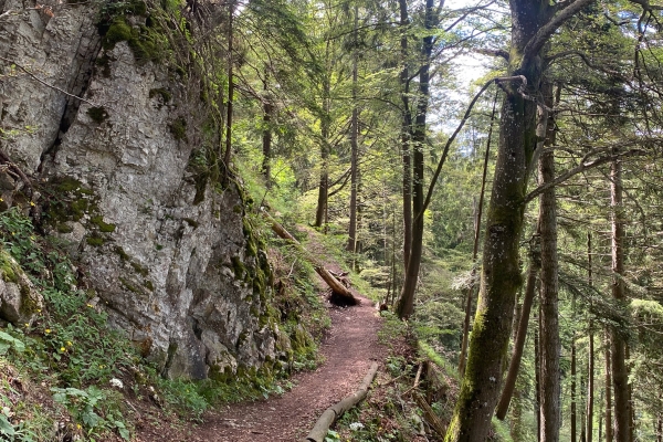 2024 06 16 ET Themenweg HH AllerheiligenbergIMG 0147 2